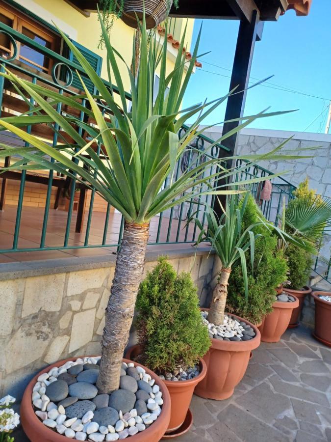 House Near Cr7 Museum Villa Funchal Dış mekan fotoğraf